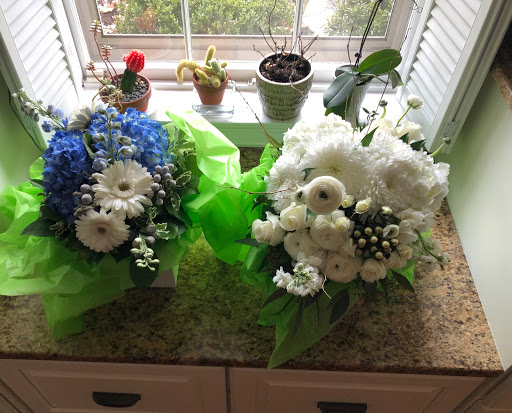 Plant Nursery «Potomac Petals and Plants», reviews and photos, 9545 River Rd, Rockville, MD 20854, USA