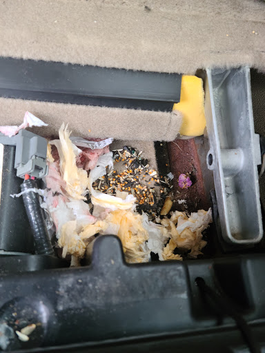 Auto Repair Shop «Hooze 4x4, Inc», reviews and photos, 1435 147th Ave NE, Ham Lake, MN 55304, USA