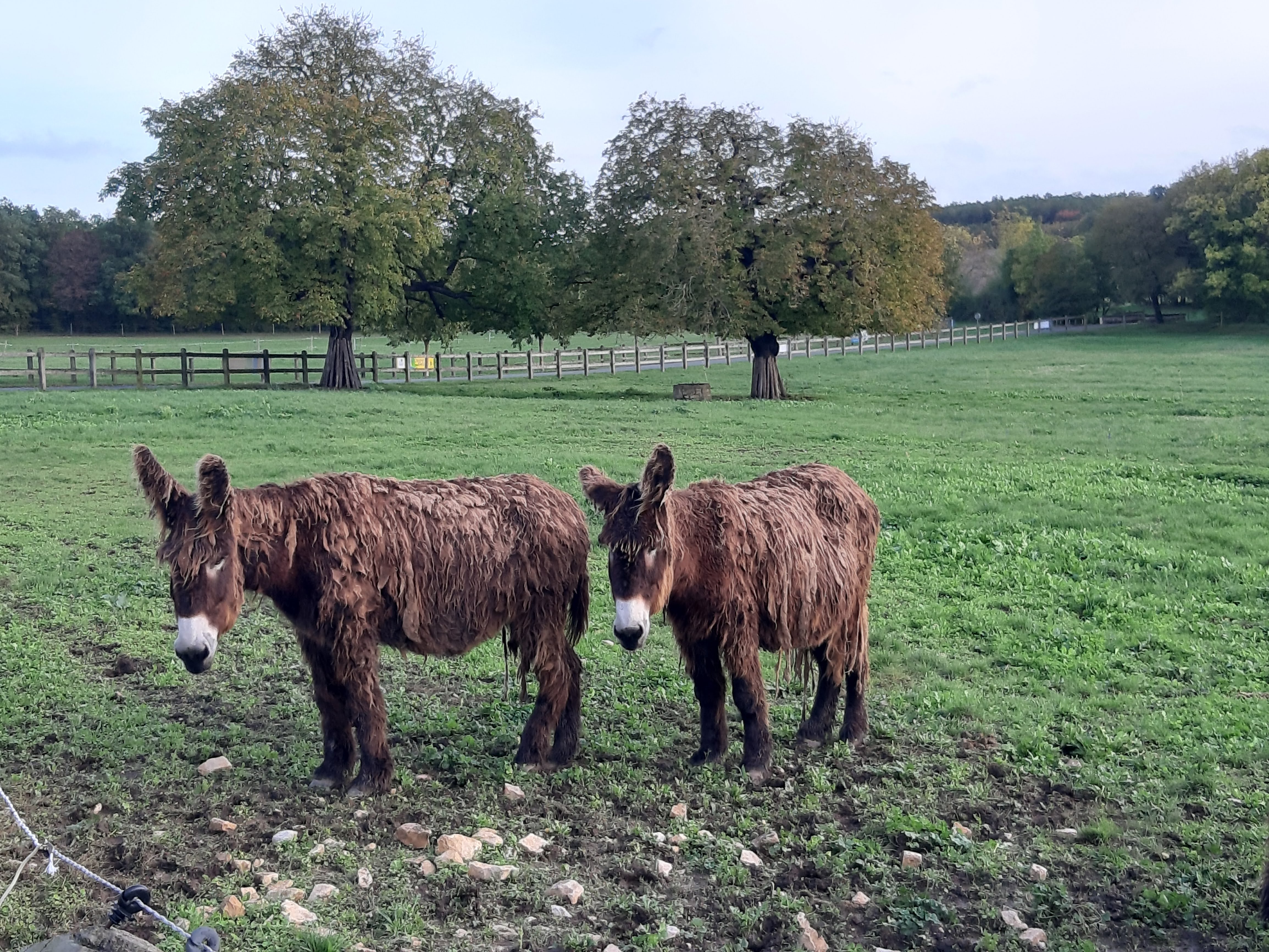 Photo n° 4 de l'avis de Emmanuelle.a fait le 01/11/2023 à 19:46