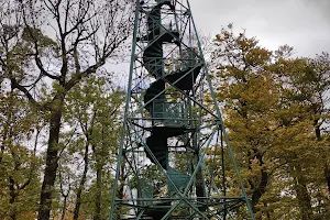 Studenec / Kaltenberg Lookout Tower image