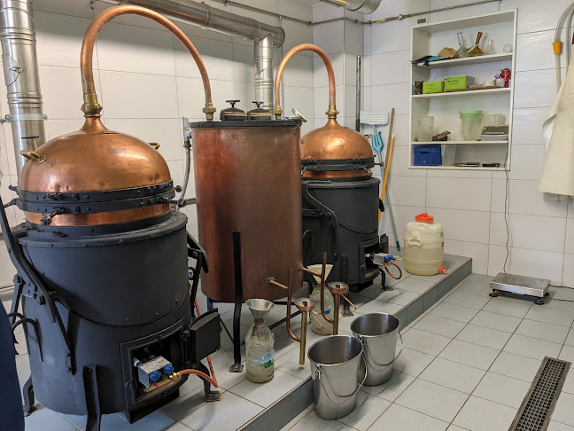 Distillery Absinthe Artemisia Bugnon & Co. - Geschäft