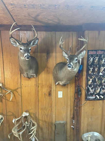 McGuire's Taxidermy