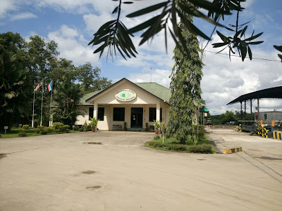 Desa Kim Loong Palm Oil S/B