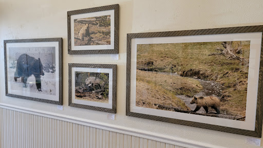 Pottery Store «Folk Pottery Museum of Northeast Georgia», reviews and photos, 283 GA-255, Sautee Nacoochee, GA 30571, USA