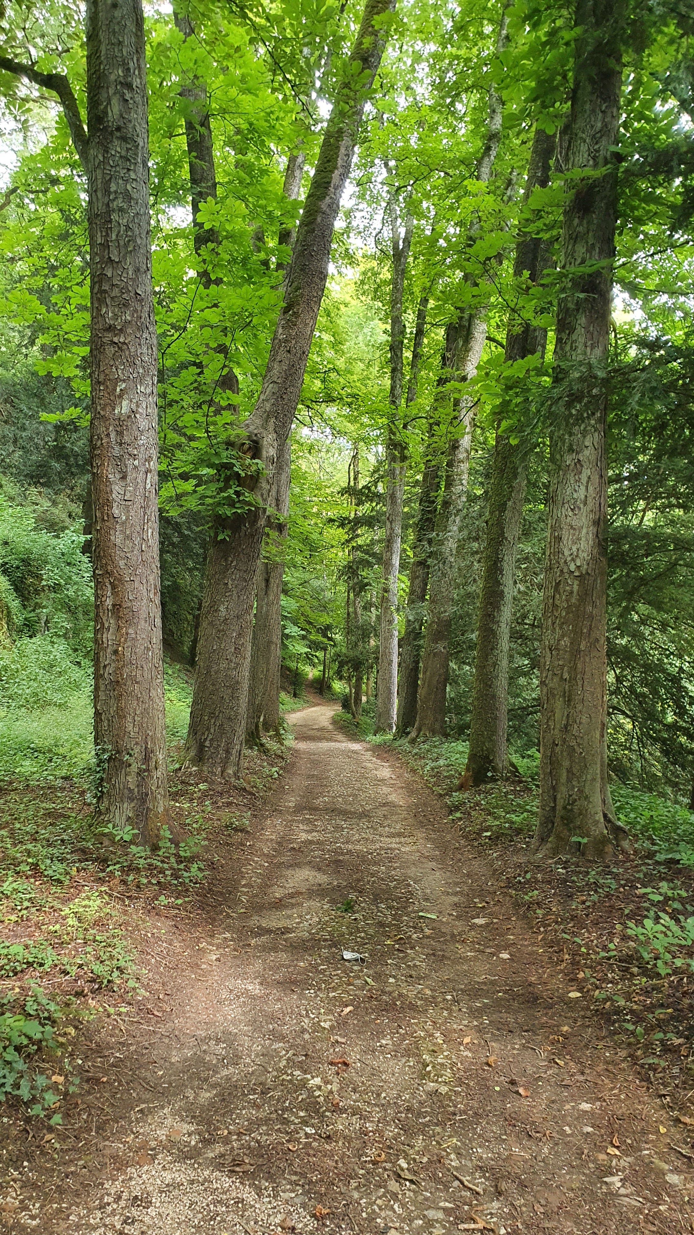 Photo n° 1 de l'avis de Patricia.a fait le 20/07/2021 à 22:19