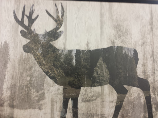 Craft Store «Hobby Lobby», reviews and photos, 165 Highland Ave, Seekonk, MA 02771, USA