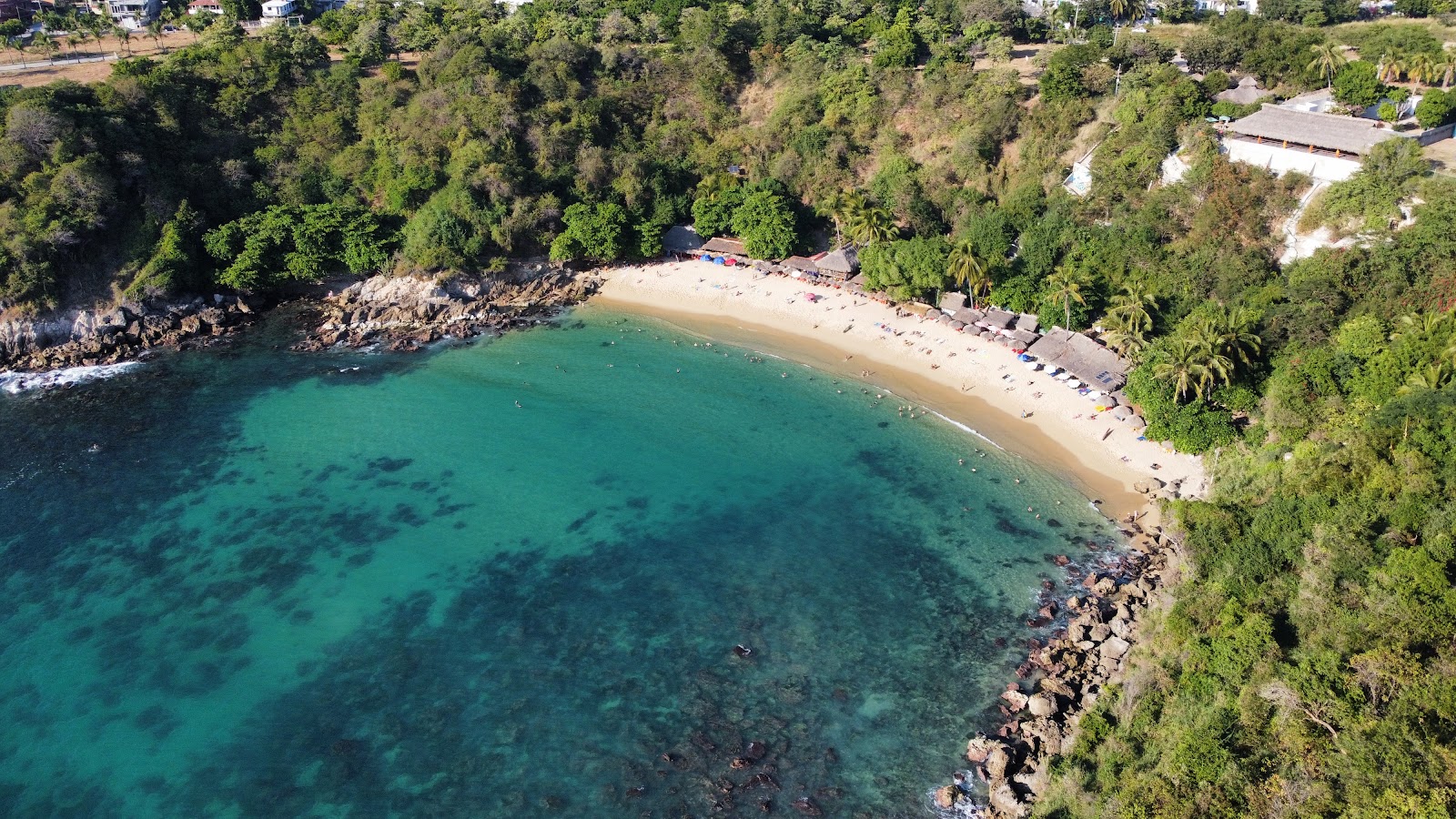 Photo of Carrizalillo beach backed by cliffs