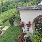 Photo n°1 de l'avis de Klaus. fait le 15/05/2022 à 20:30 sur le  The hotel restaurant Monterosa à Ameno