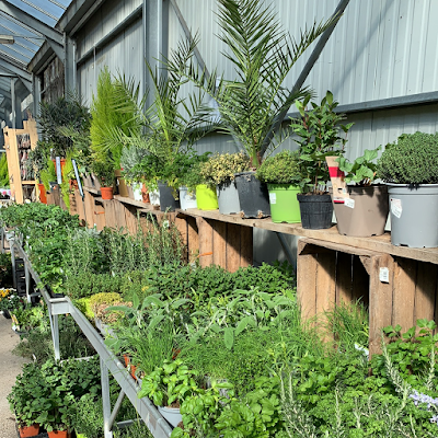 Jardinerie Armataffet à Seynod