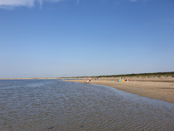 Renesse beach II的照片 便利设施区域