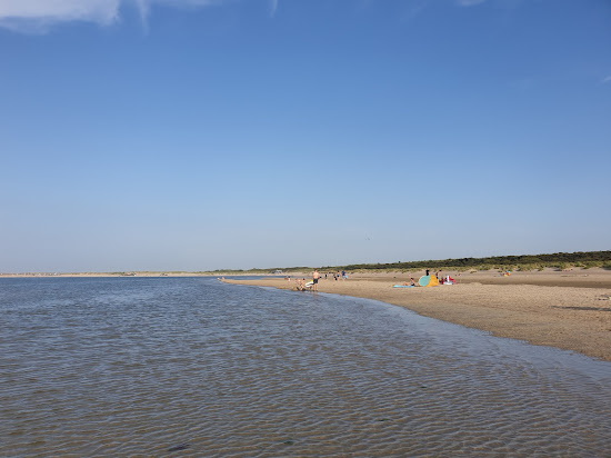 Renesse beach II