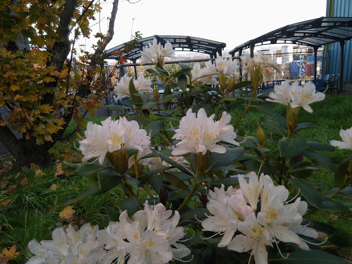 Non-Profit Organization «Everett Gospel Mission», reviews and photos