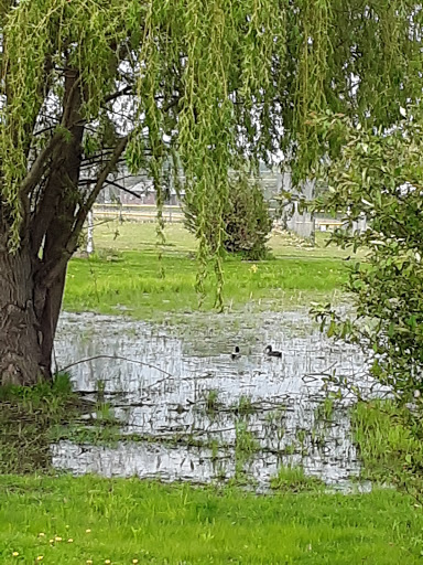 Park «East Snyder Park», reviews and photos, 875 University Ave, Selinsgrove, PA 17870, USA