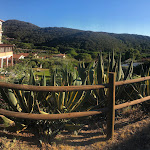 Photo n°1 de l'avis de Marco.v fait le 22/08/2023 à 09:29 sur le  Hotel la Feluca à Bagnaia