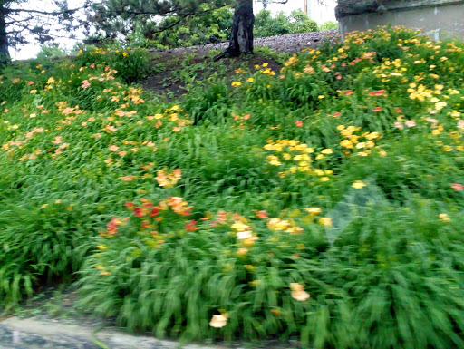 Golf Course «Deerpath Golf Course», reviews and photos, 500 W Deerpath Rd, Lake Forest, IL 60045, USA