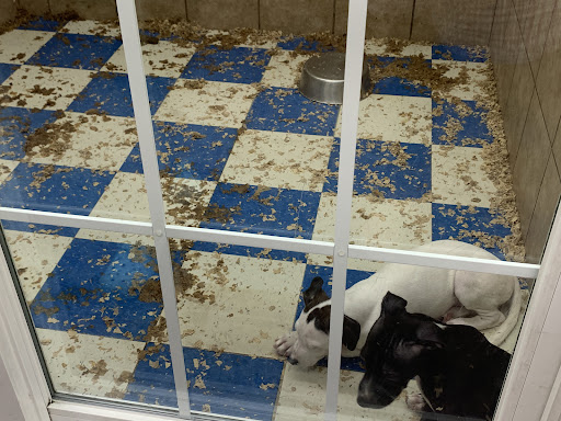 Pet Supply Store «Pets Plus - Bensalem», reviews and photos, 1336 Bristol Pike, Bensalem, PA 19020, USA