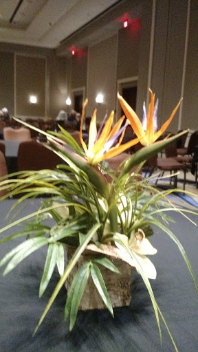 Casino «River Spirit Casino Resort», reviews and photos, 8330 Riverside Pkwy, Tulsa, OK 74137, USA