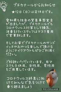 un petit canard.プチカナール