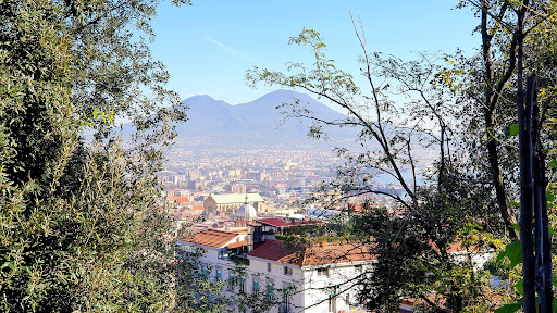 Raccolta olio alimentare esausto