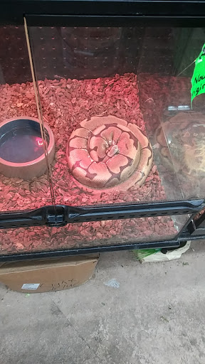 Tropical Fish Store «Magic Isle Aquarium», reviews and photos, 2350 Middle County Road​, Centereach, NY 11720, USA