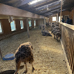 Photo n°1 de l'avis de Lilly. fait le 20/10/2022 à 16:12 sur le  Hofladen Straussenfarm Ostseeblick à Hohenfelde