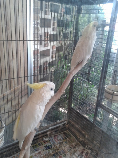 Sporting Goods Store «Travel Country Outfitters», reviews and photos, 1101 E Altamonte Dr, Altamonte Springs, FL 32701, USA