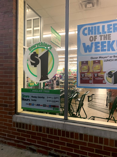 Dollar Store «Dollar Tree», reviews and photos, 230 W Lake St, Addison, IL 60101, USA
