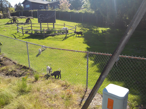 Grocery Store «Southworth Grocery», reviews and photos, 3985 Cherry St SE, Port Orchard, WA 98366, USA