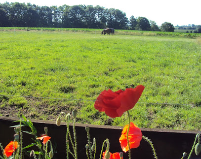 Manege Sint-Jorishoeve