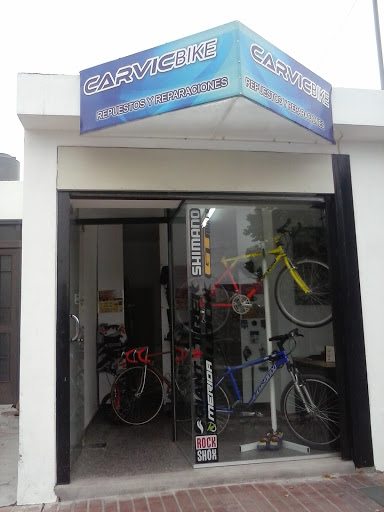 Carvicbike