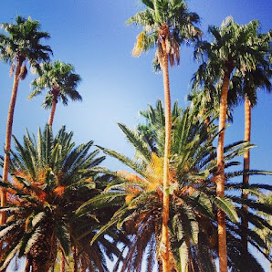 Smart Investments Advisory, Inc 1849 W Redlands Blvd STE 104, Redlands, CA 92373