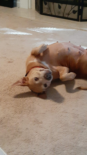 Park «Swift Cantrell Park», reviews and photos, 3140 Old 41 Hwy NW, Kennesaw, GA 30144, USA