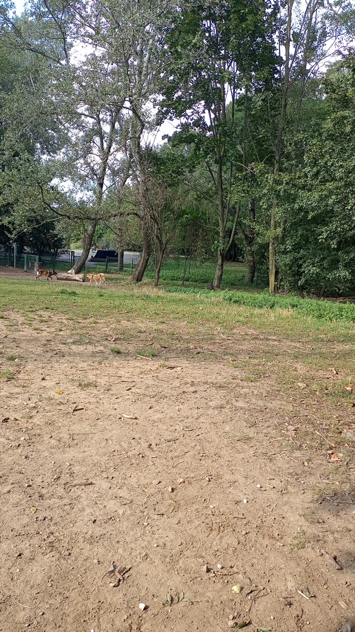 Photo n° 2 de l'avis de élodie.r fait le 11/09/2022 à 13:49