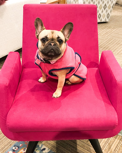 Furniture Store «Circle Furniture - Cambridge», reviews and photos, 199 Alewife Brook Pkwy, Cambridge, MA 02138, USA