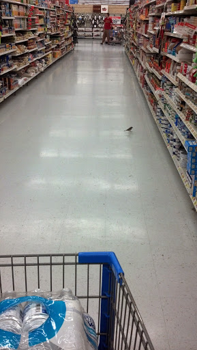 Department Store «Walmart Supercenter», reviews and photos, 601 Frank Sottile Blvd, Kingston, NY 12401, USA