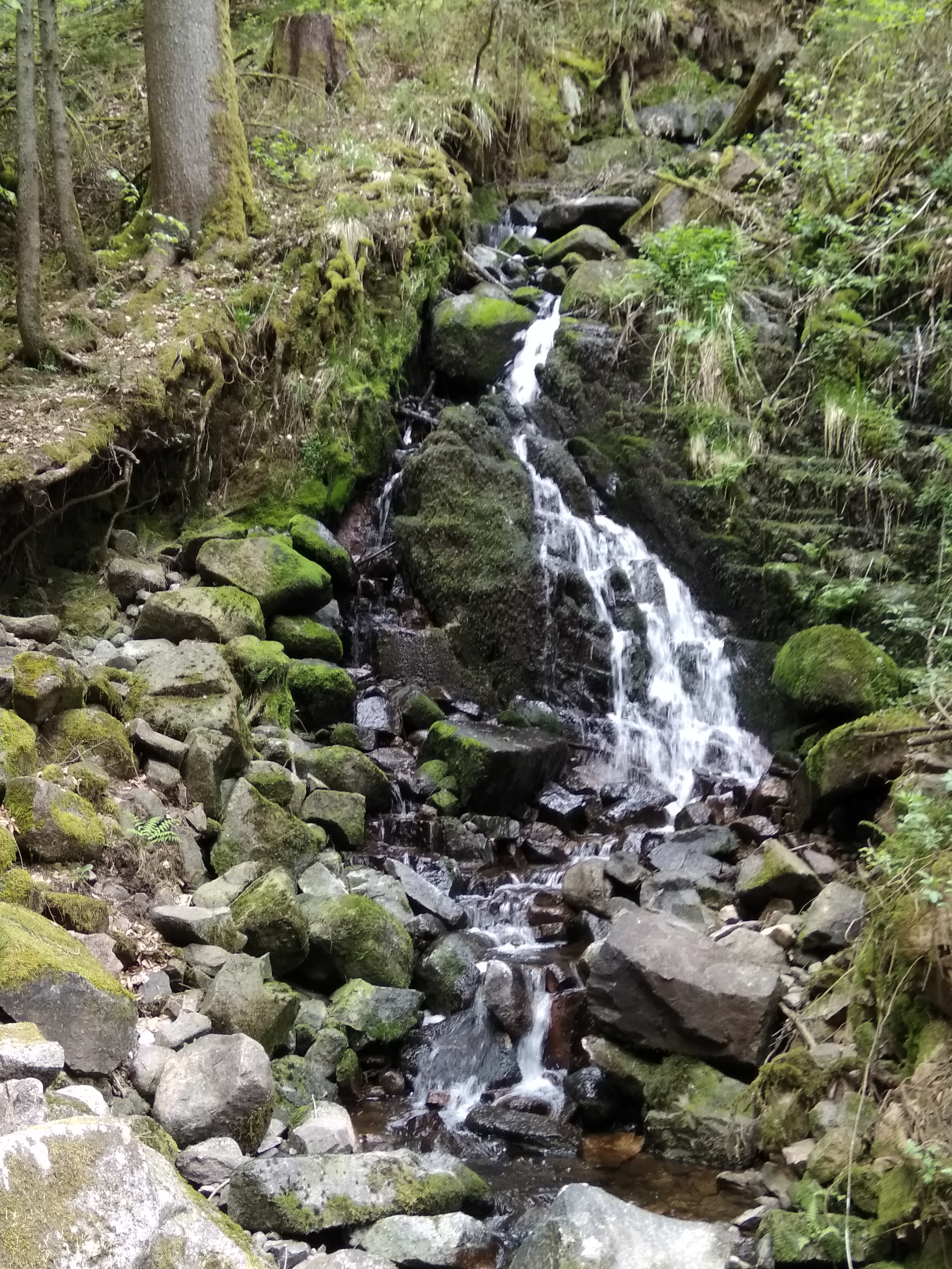 Photo n° 8 de l'avis de Vanessa.. fait le 26/04/2018 à 20:21