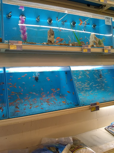 Pet Supply Store «PetSmart», reviews and photos, 70 Worcester-Providence Turnpike #240, Millbury, MA 01527, USA