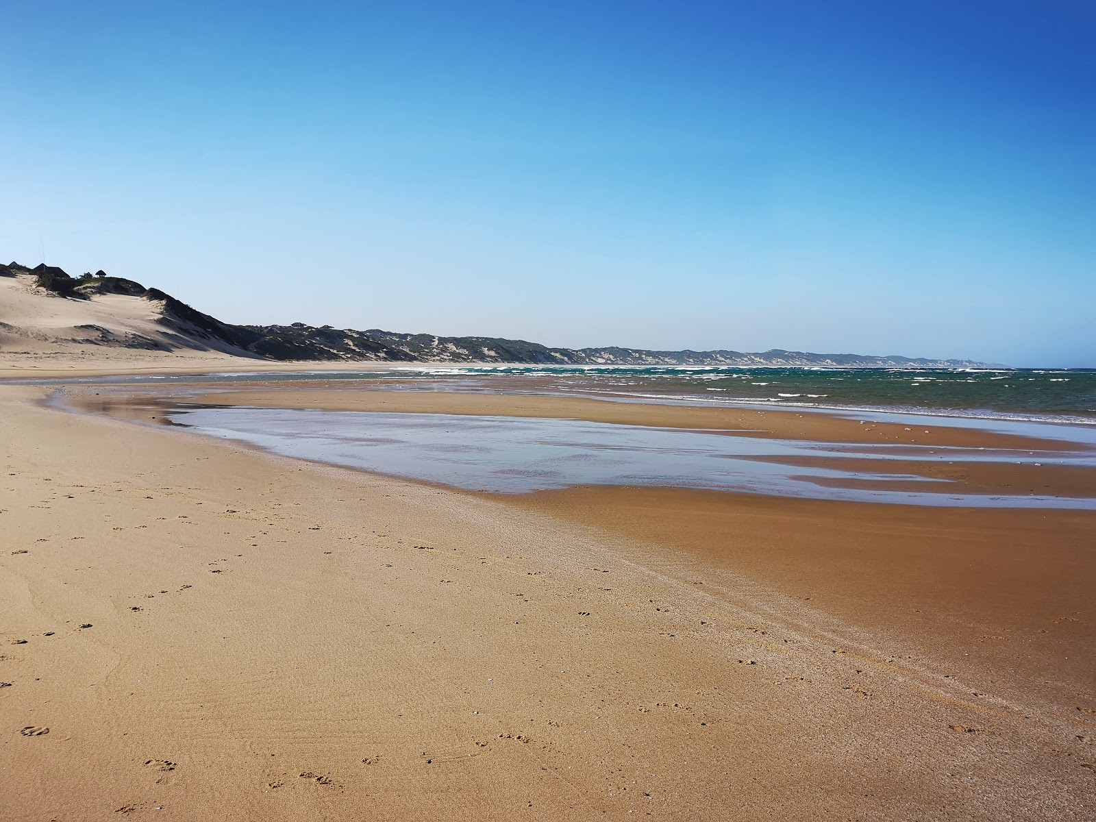 Oyster Bay Beach photo #8