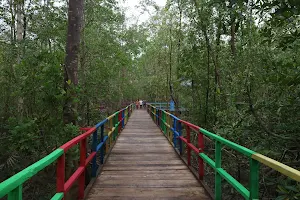 Destinasi ekowisata mangrove pangkal babu image