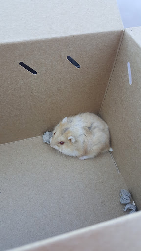 Pet Supply Store «Petco Animal Supplies», reviews and photos, 6020 Ball Rd, Buena Park, CA 90620, USA