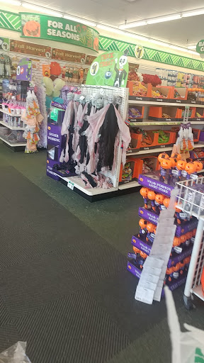 Dollar Store «Dollar Tree», reviews and photos, 1330 Butterfield Rd, Downers Grove, IL 60515, USA