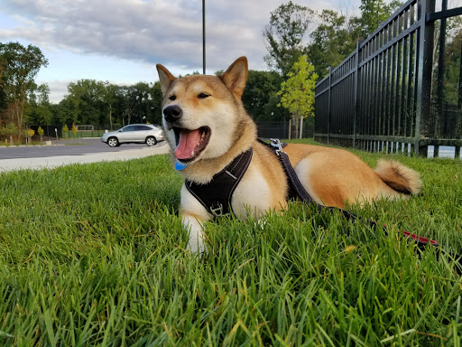 Recreation Center «Nancy H. Dacek North Potomac Community Recreation Center», reviews and photos, 13850 Travilah Rd, Rockville, MD 20850, USA