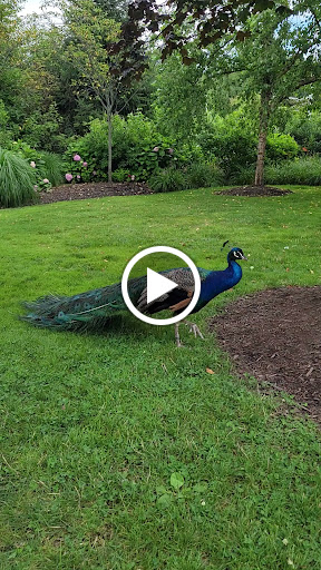 Zoo «Turtle Back Zoo», reviews and photos, 560 Northfield Ave, West Orange, NJ 07052, USA