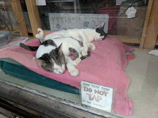 Pet Supply Store «Rittenhouse Square Pet Supply», reviews and photos, 135 S 20th St, Philadelphia, PA 19103, USA