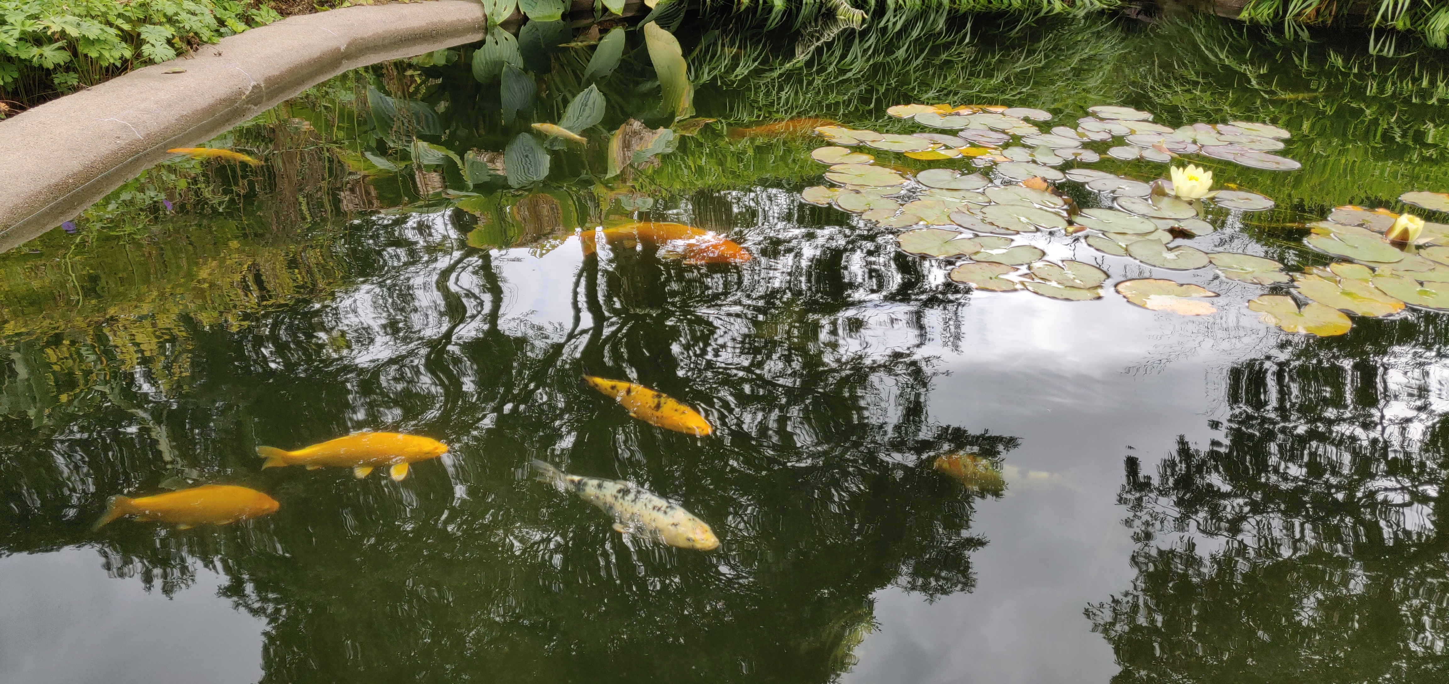 Photo n° 31 de l'avis de CHRISTIAN.A fait le 16/08/2019 à 16:59
