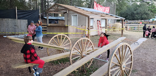 Farm «Buford Corn Maze.», reviews and photos, 4470 Bennett Rd, Buford, GA 30519, USA