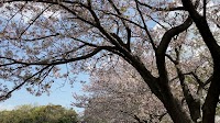 池田湖