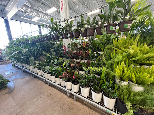 Home Improvement Store «Menards», reviews and photos, 7800 Lakeland Ave N, Brooklyn Park, MN 55445, USA