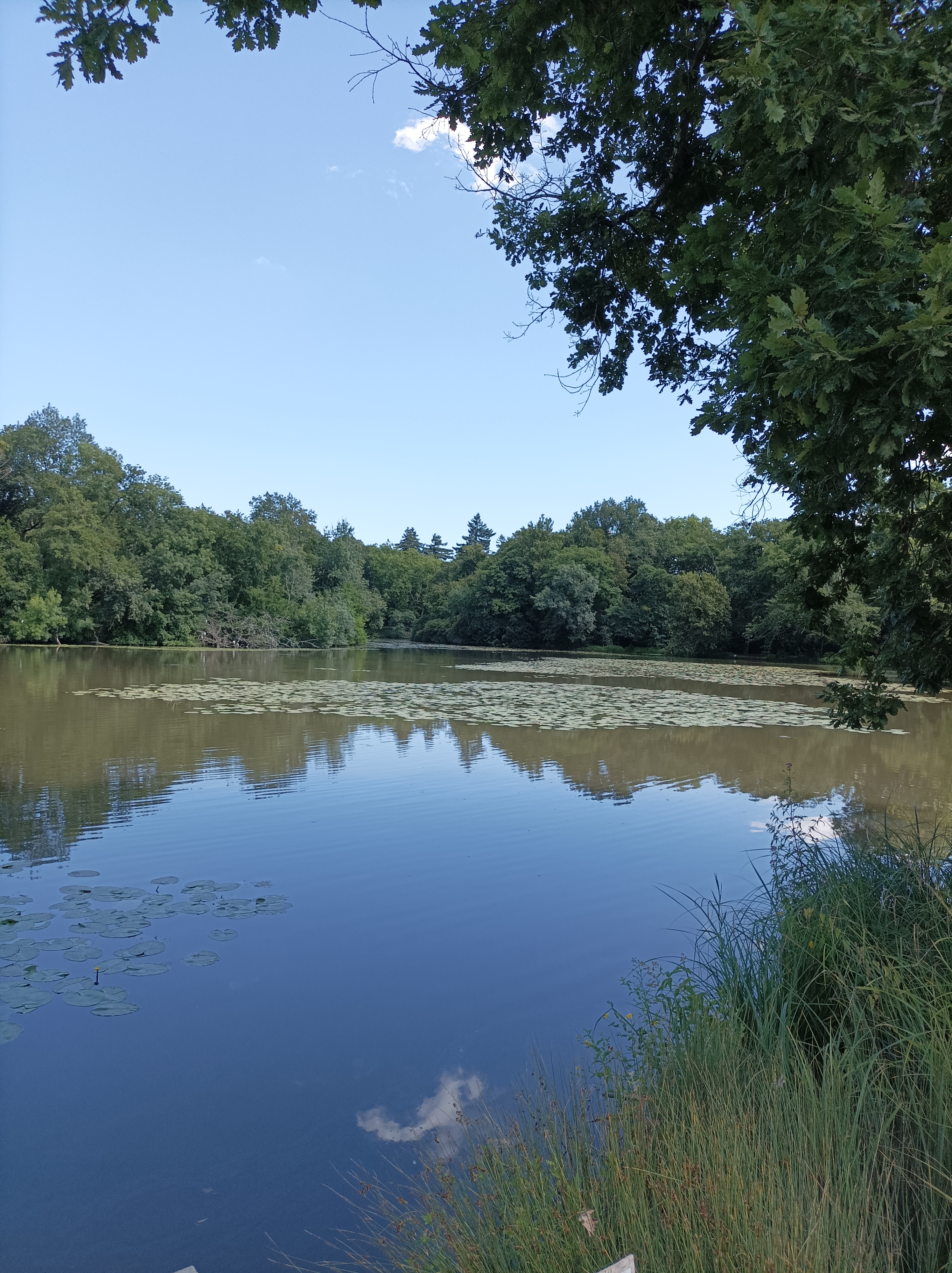 Photo n° 13 de l'avis de Laurent.u fait le 29/07/2023 à 15:31