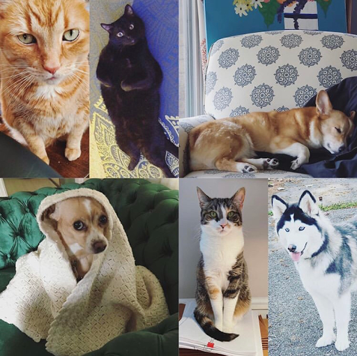 Social Security Attorney «Hankey Law Office», reviews and photos